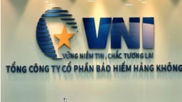 Thanh tra chỉ ra hàng loạt sai phạm tại Bảo hiểm Hàng không