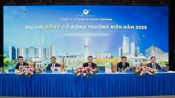 “Chúng tôi chỉ tham gia vào lĩnh vực có năng lực cốt lõi và khả năng làm chủ cuộc chơi”