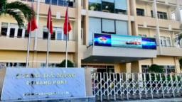 Cổ đông đề xuất giảm tỷ lệ sở hữu công ty mẹ tại Cảng Đà Nẵng