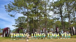 Lâm Đồng: Công ty Cổ phần Điện Đạ Sar nợ thuế hơn 344 tỷ đồng