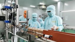 Vì sao mới chỉ có 18% doanh nghiệp nhà nước được phê duyệt đề án cơ cấu lại?