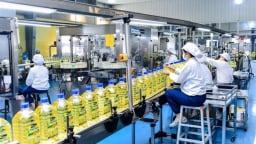 Bãi bỏ lệ phí môn bài, giảm tiền thuê đất, miễn thuế TNDN thúc đẩy kinh tế tư nhân phát triển