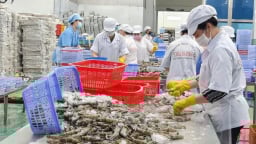 Nghiên cứu, đề xuất chính sách thuế phù hợp với ngành nông lâm thủy hải sản chịu tác động thuế quan