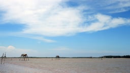 Thủ tướng: Thái Bình cần nghiên cứu, xây dựng kế hoạch lấn biển