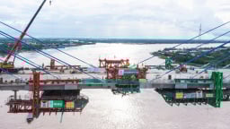 Nhiều doanh nghiệp tại Ninh Thuận bị cưỡng chế thuế hơn 73 tỷ đồng