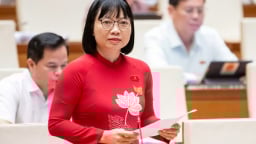 Đại biểu Quốc hội cảnh báo hơn 600 'doanh nghiệp ma' xuất trên 1 triệu hóa đơn khống