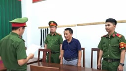 Đà Nẵng: Bắt giam đối tượng lừa “chạy án” trốn thuế, chiếm đoat 637.000 USD