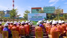 Nhà máy Nhiệt điện Vĩnh Tân 2 trồng mới hơn 300 cây xanh