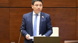'Các hộ kinh doanh theo mô hình doanh nghiệp sẽ có nhiều ưu đãi'