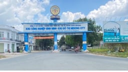Vĩnh Long: Công ty Cảng Bình Minh và nhiều doanh nghiệp nợ thuế hơn 50 tỷ đồng