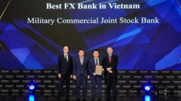 MB hai năm liên tiếp nhận danh hiệu “Ngân hàng ngoại hối tốt nhất Việt Nam” từ The Asian Banker