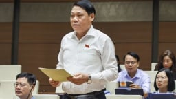 Đại biểu băn khoăn về tỷ lệ chia tiền thuê đất, thuế VAT giữa Trung ương và địa phương