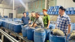 Lào Cai: Khởi tố 3 người liên quan vụ ủ giá bằng hóa chất