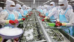 Xuất khẩu thủy sản thu về hơn 4 tỷ USD