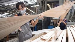 Hơn 130 doanh nghiệp gỗ dán Việt đối mặt nguy cơ bị Hoa Kỳ áp thuế