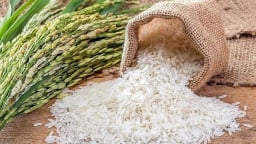 Giá gạo xuất khẩu của Việt Nam giảm hơn 18%