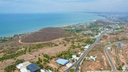 Bình Thuận: Thu hồi dự án Khu du lịch nghỉ dưỡng Phương Thảo do vi phạm về đất đai