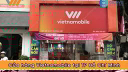 Vietnamobile chậm đóng hơn 2 tỷ đồng bảo hiểm