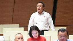 Đại biểu đề nghị hỗ trợ về thủ tục, khai thuế cho đến khi hộ, cá nhân kinh doanh làm được