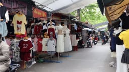 Xử lý nghiêm hộ, cá nhân kinh doanh có hành vi che giấu doanh thu, khai gian thuế