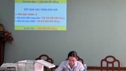 Quảng Nam: 3 mỏ cát trúng đấu giá lên đến hơn 940 tỷ đồng