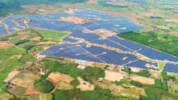 Công ty Trường Thành bị phạt 240 triệu đồng vì vi phạm công bố thông tin