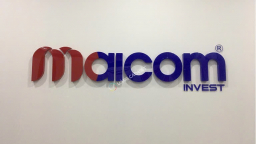 Tạm hoãn xuất cảnh Tổng giám đốc Công ty Maicom Invest