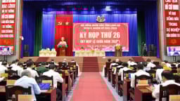 Long An thu ngân sách 5 tháng đạt hơn 17.200 tỷ đồng, tăng hơn 34%