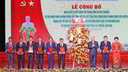 Bức tranh thu ngân sách nhà nước của Lâm Đồng - tỉnh có diện tích lớn nhất