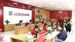 Agribank Bình Dương có một số tồn tại sau kết luận thanh tra