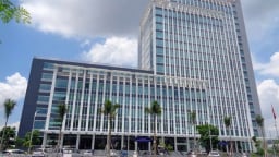 Thuế Tp.HCM gồm 29 cơ sở trực thuộc