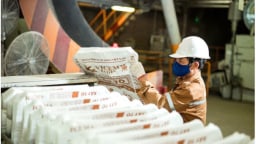 Vicem bất ngờ báo lãi sau 2 năm thua lỗ