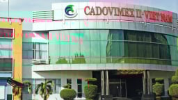 Thủy sản Cadovimex: Cổ phiếu chỉ còn 500 đồng, lỗ lũy kế hơn 1.700 tỷ đồng