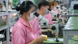 Đề xuất bổ sung tiêu chí điều chỉnh mức giảm trừ gia cảnh, rút gọn bậc thuế, sửa đổi biểu thuế