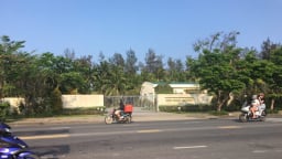 Đà Nẵng thu hồi một phần dự án Hòn Ngọc Á Châu để làm công viên