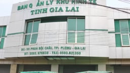 Thành lập 2 Ban Quản lý Khu kinh tế tỉnh Gia Lai, Quảng Ngãi