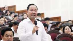 Nghệ An: Tiền thuê đất của doanh nghiệp có xu hướng giảm sâu ở một số lĩnh vực