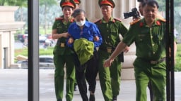 Bị cáo Hoàng Thị Thúy Lan bị tuyên phạt 14 năm tù, Nguyễn Văn Hậu 30 năm tù
