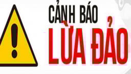 Cảnh báo giả mạo cơ quan thuế để lừa hộ, cá nhân kinh doanh cập nhật thông tin