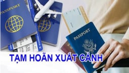 Chậm nộp thuế, Giám đốc Công ty Du học Hòa Bình bị tạm hoãn xuất cảnh