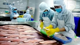 Xuất khẩu cá tra vượt mốc 1 tỷ USD, tăng trưởng mạnh nửa đầu năm