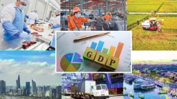 ADB hạ dự báo tăng trưởng GDP Việt Nam 2025