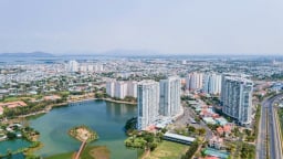 Thanh tra dự án của Tập đoàn Hoa Lâm, DIC, Hưng Lộc Phát và nhiều doanh nghiệp khác