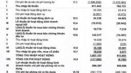 Báo cáo soát xét khẳng định hiệu quả kinh doanh ấn tượng của EVNFinance