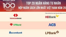 Techcombank dẫn đầu ngân hàng tư nhân, nộp ngân sách hơn 6.770 tỷ đồng