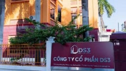 Lợi nhuận bán niên kỷ lục, DS3 vẫn chưa thoát diện cảnh báo trên HNX