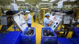 Tổng điều tra kinh tế năm 2026 trên toàn quốc