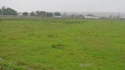 Đề nghị không miễn thuế đất nông nghiệp được giao nhưng bỏ hoang