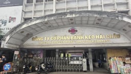 Chủ tịch Bánh Kẹo Hải Châu bị phạt 77,5 triệu