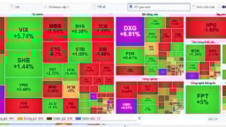 VN-Index tăng hơn 5 điểm, khối lượng giao dịch đạt 1,56 tỷ đơn vị